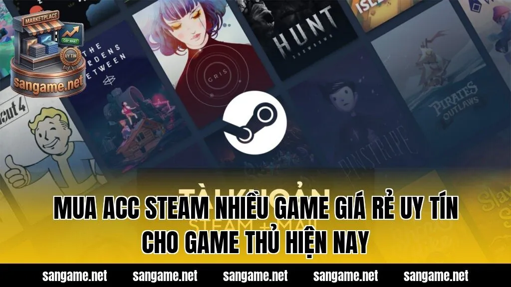 Mua Acc Steam Nhiều Game Giá Rẻ Uy Tín Cho Game Thủ Hiện Nay