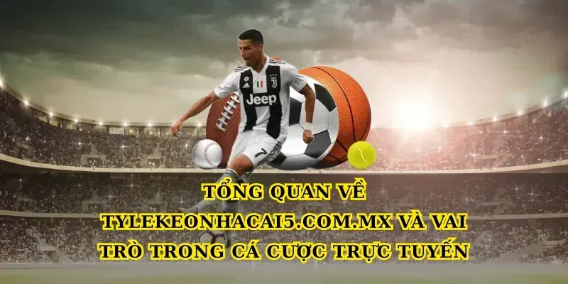Tổng quan về Tylekeonhacai5.com.mx và vai trò trong cá cược trực tuyến
